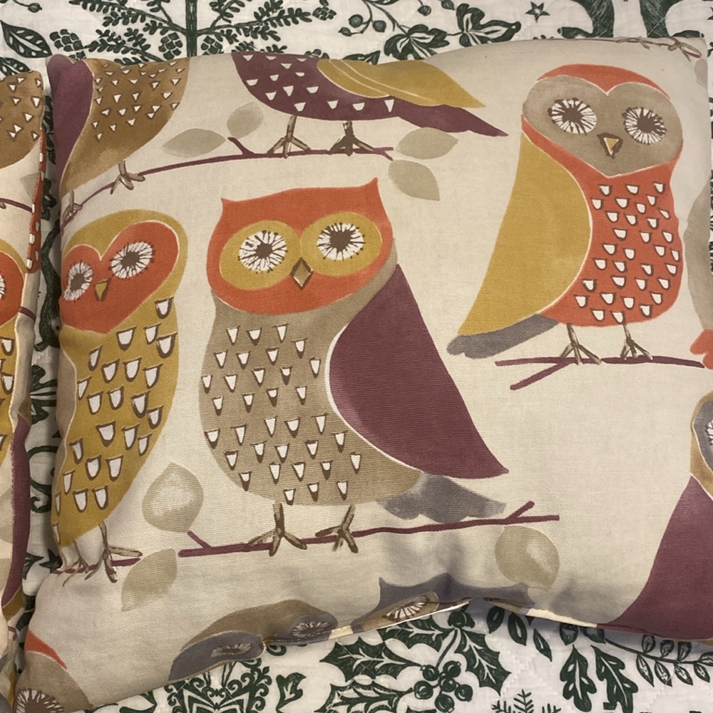 Colorful Owl Print Throw Pillow, good shape, includes 2 pillows same size - Picture 2 of 6